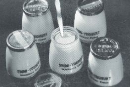 13_1948_Emmi-Yoghurt