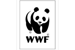 history-wwf-logo