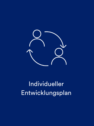 Entwicklungsplan
