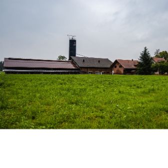 Lurweid-Dairy-Farm_Pfister_Esslingen_Hof_zugeschnitten