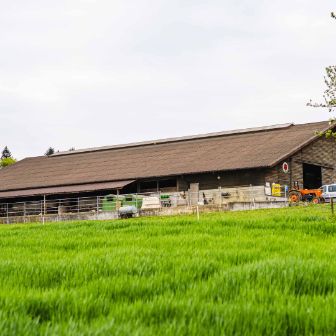 Bächlihof_Käser_Oberflachs_Hof