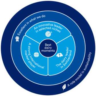 about-visual-strategy-wheel-EN