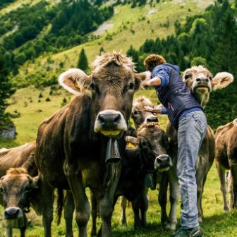 stories-bauernbotschafter-familie-sturzenegger-berg-text-image