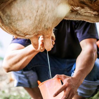 stories-nachhaltige-milch_Text-image