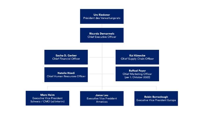 organigramm-struktur-emmi-de