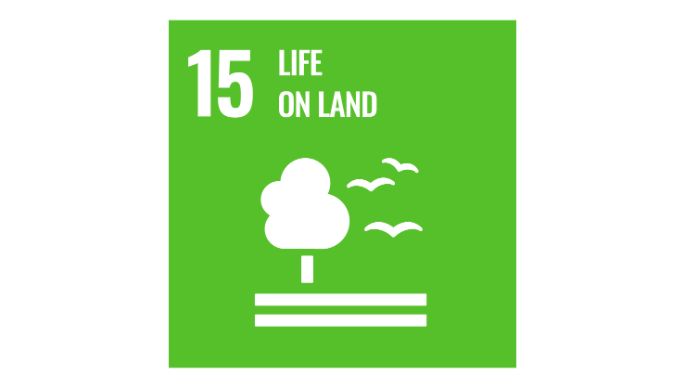 web-SDG-icons-EN-15