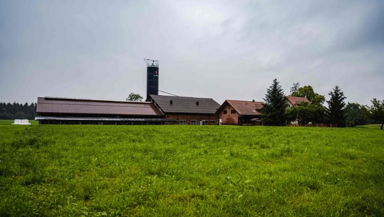 Lurweid-Dairy-Farm_Pfister_Esslingen_Hof