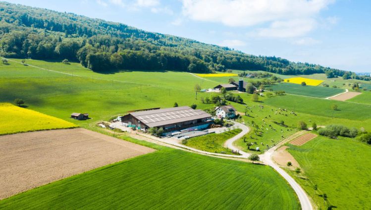 Lernort-Bauernhof_Pfefferli_Wangen_bei_Olten_Drohne