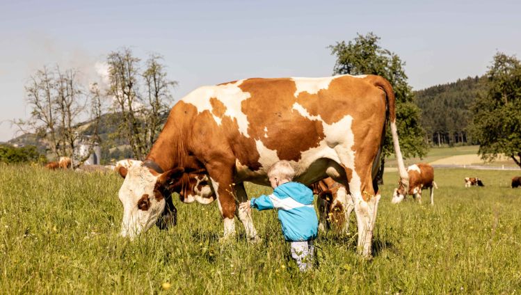 stories-wintermilch-sommermlich-stage