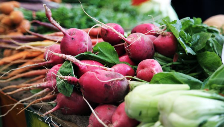 stories-you-are-what-you-eat-vegetables-market-layout