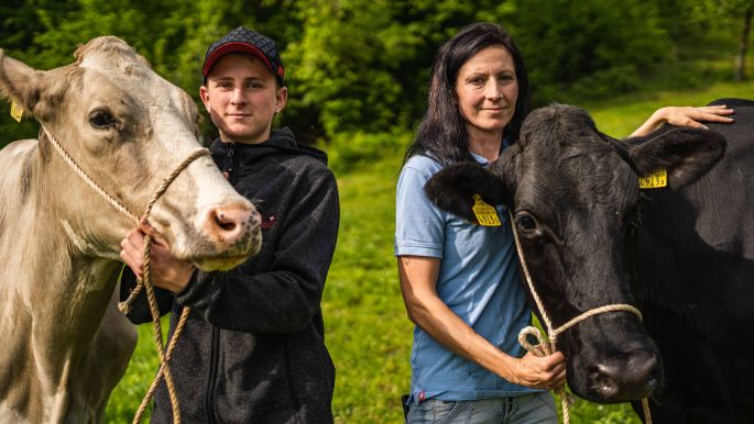 Ballmoosscheuer_Aebi_Heimiswil_Kuh 1