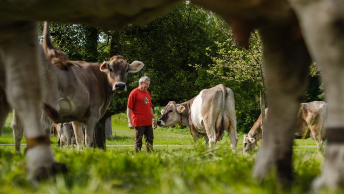 Fohrenhof_Felder-R?ttimann_Kleinwangen_Arbeit-2