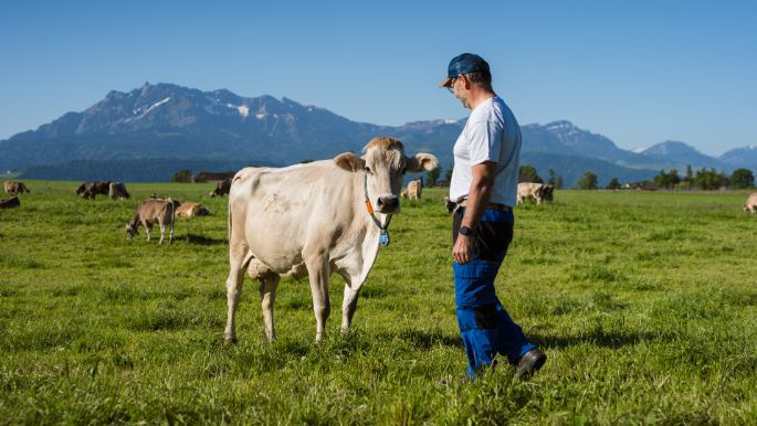 Obmoos_Barmettler_Rothenburg_Arbeit
