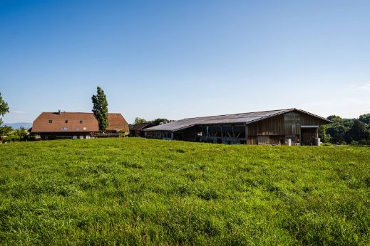 Coldfield Diary_Oppliger_Kaltacker_Hof