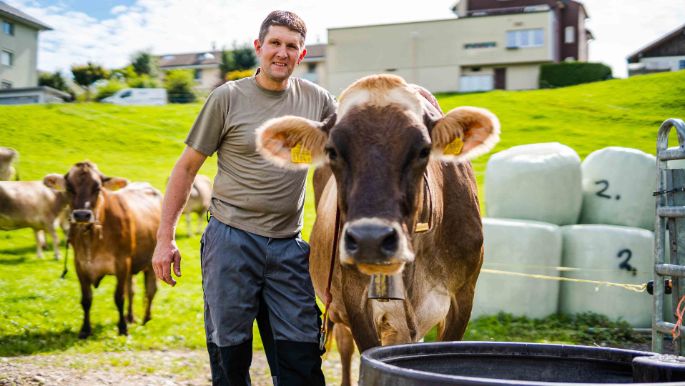 Aescher-Oberkarren_Kälin_Bennau_Kuh