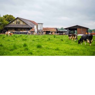 Huob_Bircher_Hagendorn_Hof_zugeschnitten