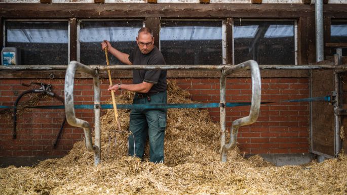 Wiegenhof_Stefani_Döttingen_Arbeit