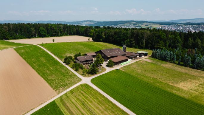 Waldhof Steinmann_Steinmann_Büttikon_Drohne