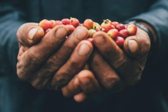 kaffebohnen-haende-ethics