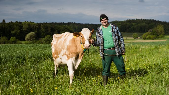 Steinbrüggli_Schlatter_Otelfingen_Kuh