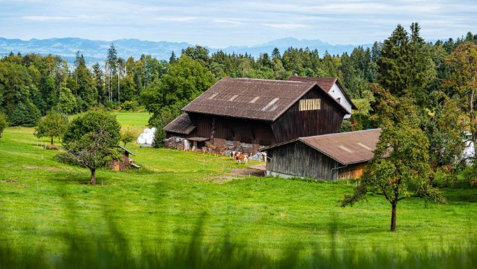 Hof_Grimm_Grimm_Hirzel_Hof
