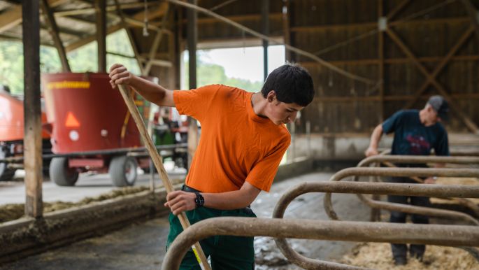 Fiechter Holstein_Fiechter_Graben_Arbeit