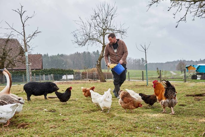 Springs Bio Farm, Andreas Spring, Limpach_Weide