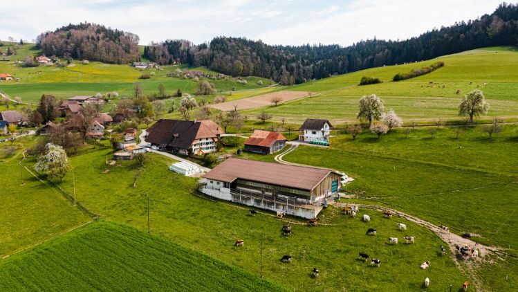 Familie_Sigrist_Loosli_Sigrist_Madiswil_Drohne