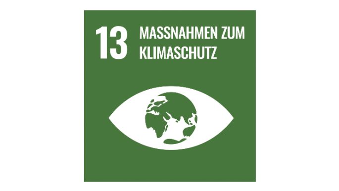 web-SDG_icons_DE-13-n