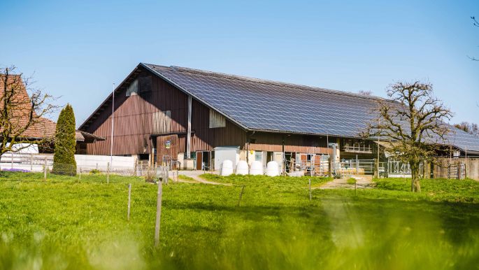 BG_Hagenbucher-Job_Hagenbucher_Birmensdorf_Hof