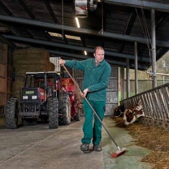 Birkenhof Teller, Simon Teller, Endingen_Stall