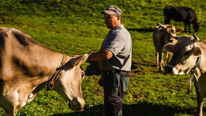 Hattig_Würsch_Emmetten_Arbeit