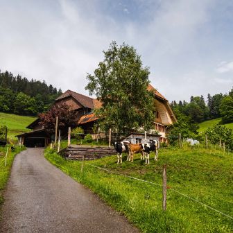 Bruuchere_Guggisberg_Zimmerwald_Hof