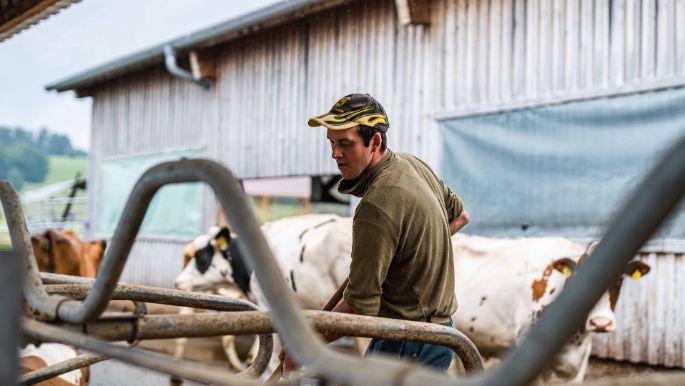 Büelhof_Trutmann_Riedikon_Arbeit