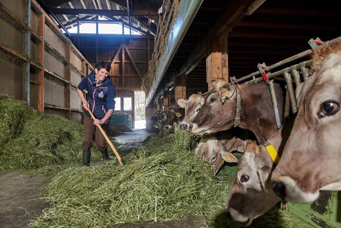 Schluchen, Daniela Sturzeneger-Menzi, Filzbach_Stall_2
