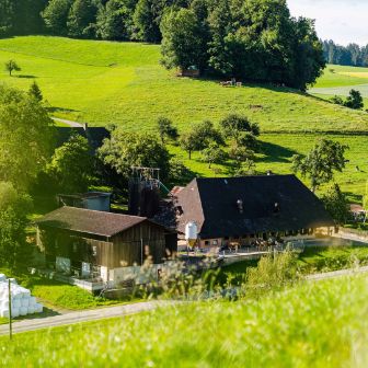 Hämmenhof_Kohler_Walterswil_Hof