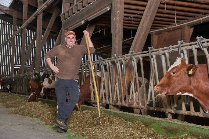 Langmatthof, Lukas Siegrist, Meisterschwanden_Stall