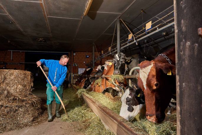 Egghof, Willi Lienhard, Steinmaur_Stall_2