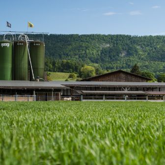 Steinbrüggli_Schlatter_Otelfingen_Hof