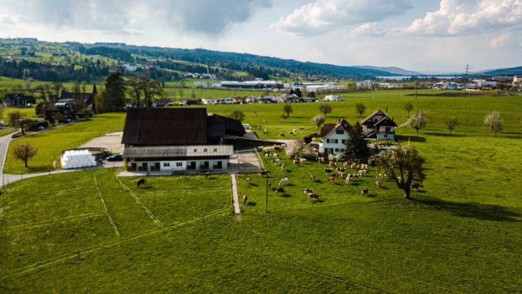 Schaubhus_Bucher_Urswil_Drohne