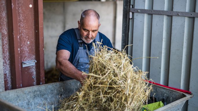 Melchenbuehlgut_Bigler_Guemligen_Arbeit