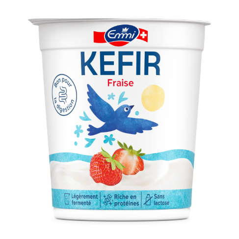 Kefir Jogurt Fraise FR