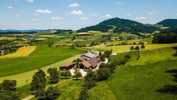 Burghof_Gander_Wölflinswil_Drohne