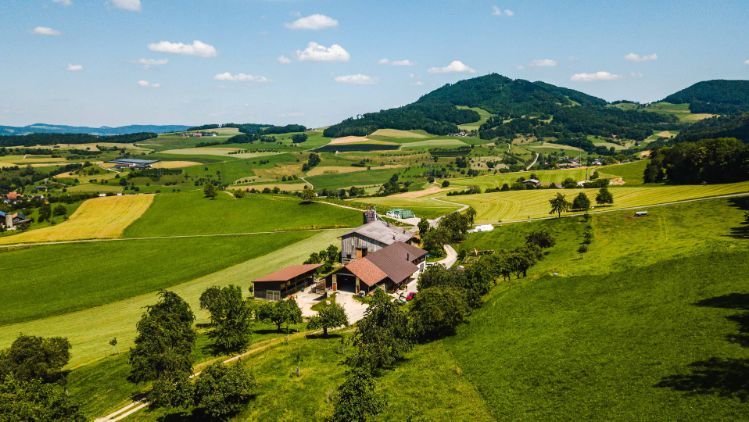 Burghof_Gander_Wölflinswil_Drohne