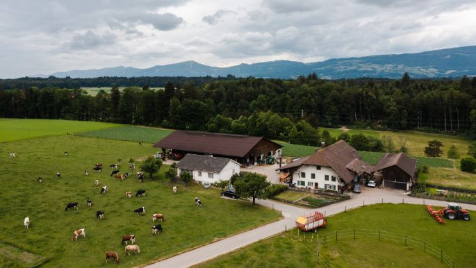 Fiechter Holstein_Fiechter_Graben_Drohne