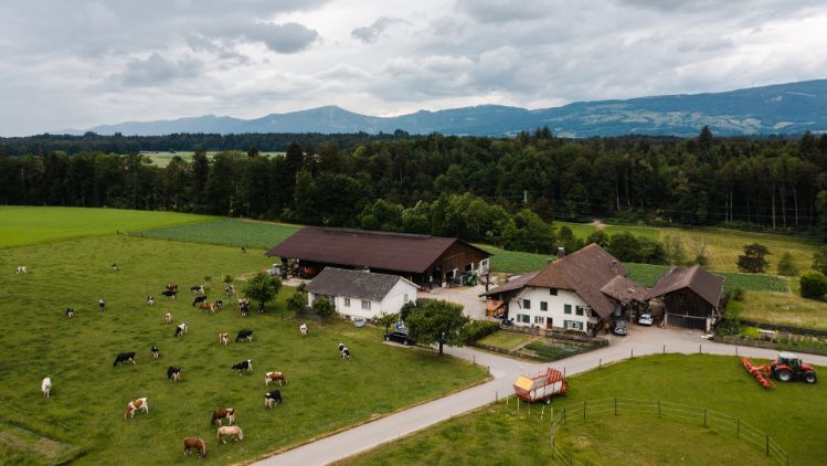 Fiechter Holstein_Fiechter_Graben_Drohne