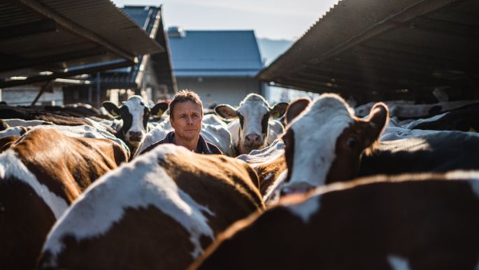 Badhof_Stofer_Wilihof_Arbeit