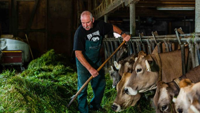 Hof_Matt_Bolliger_Schmiedrued_Arbeit