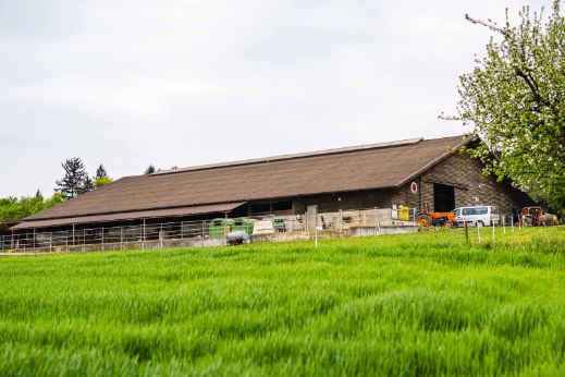 Bächlihof_Käser_Oberflachs_Hof