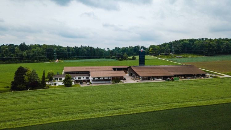Mattenhof_Frei_Adlikon_Drohne